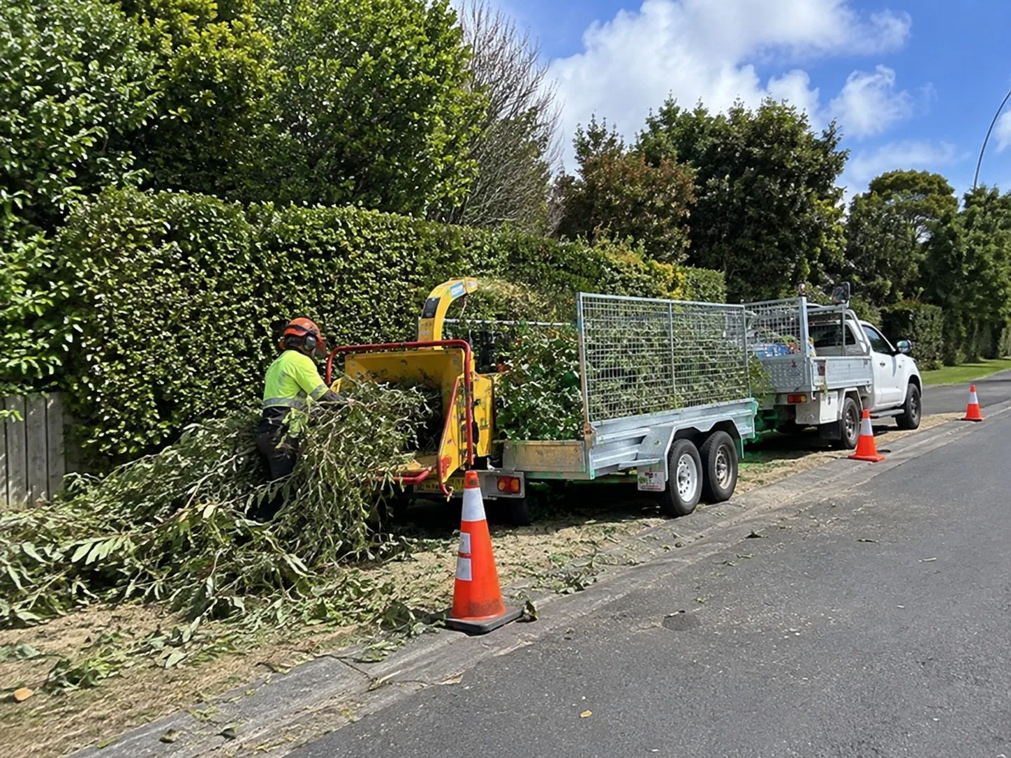 Hedge trimming and clippings removal