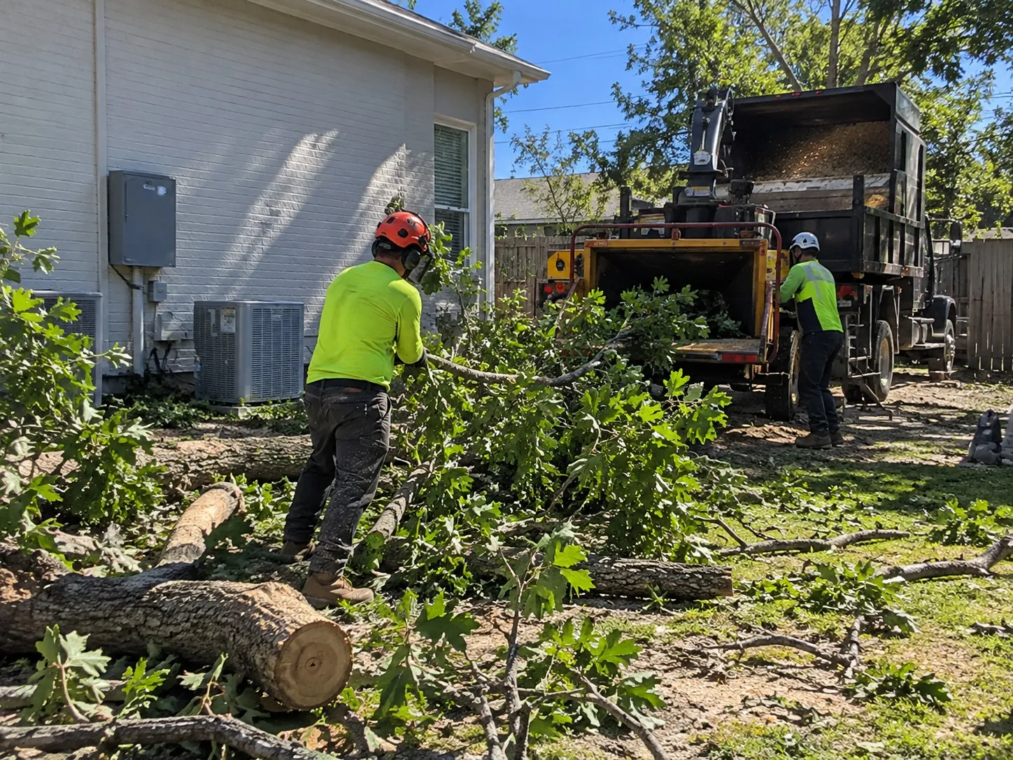 Green Waste Removal