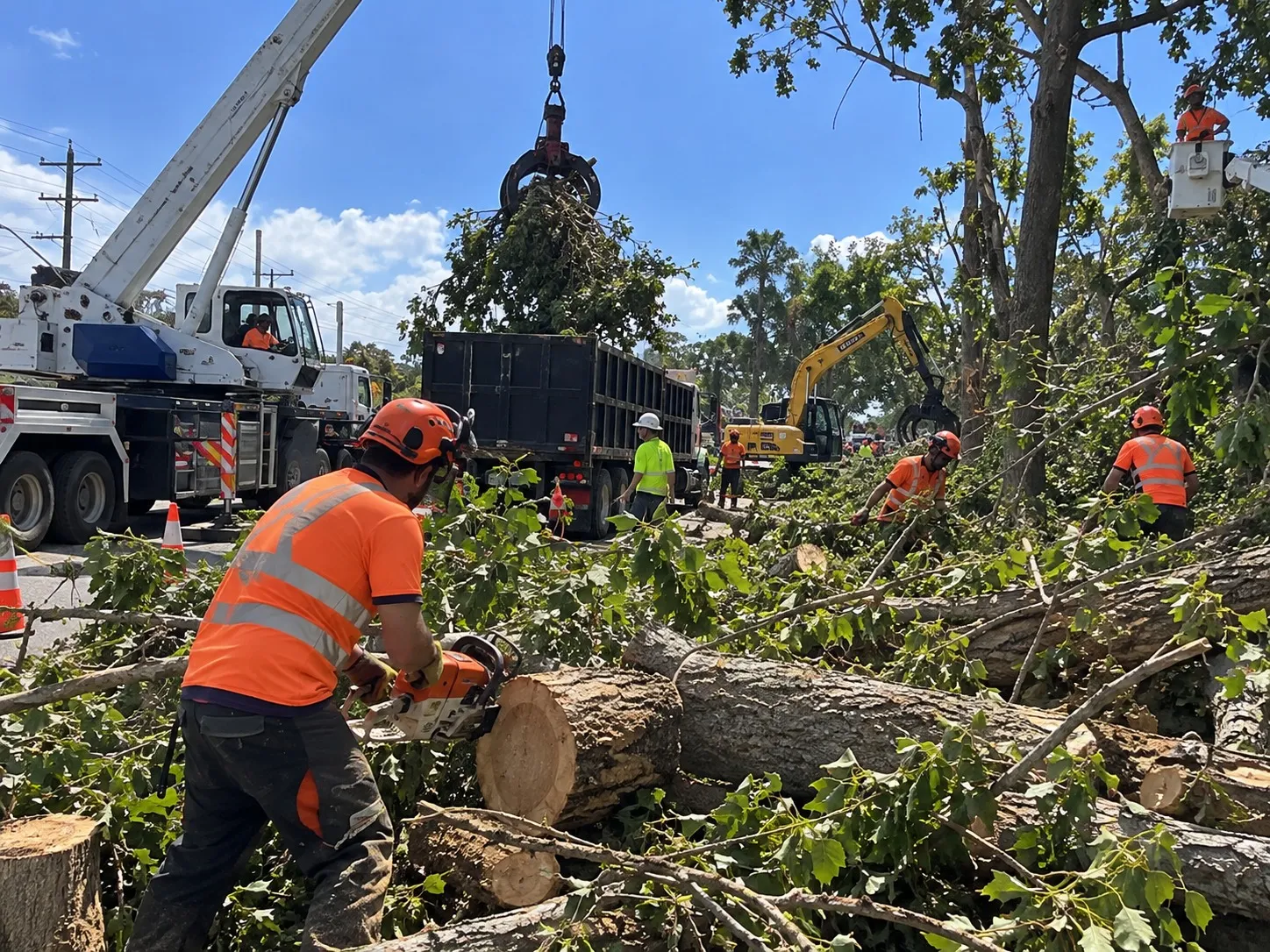 Land and Section Clearing