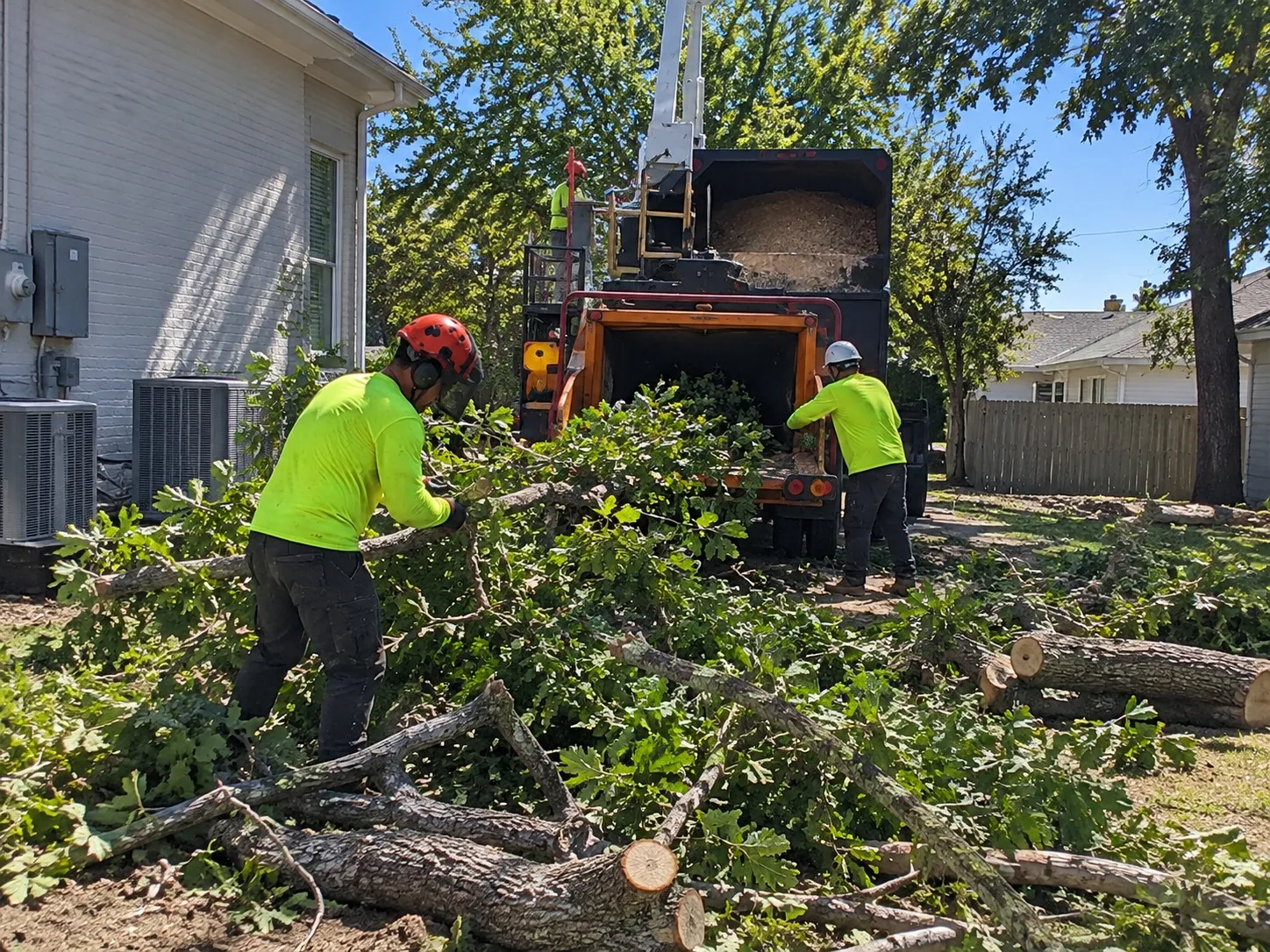 Green Waste Removal in Wellington