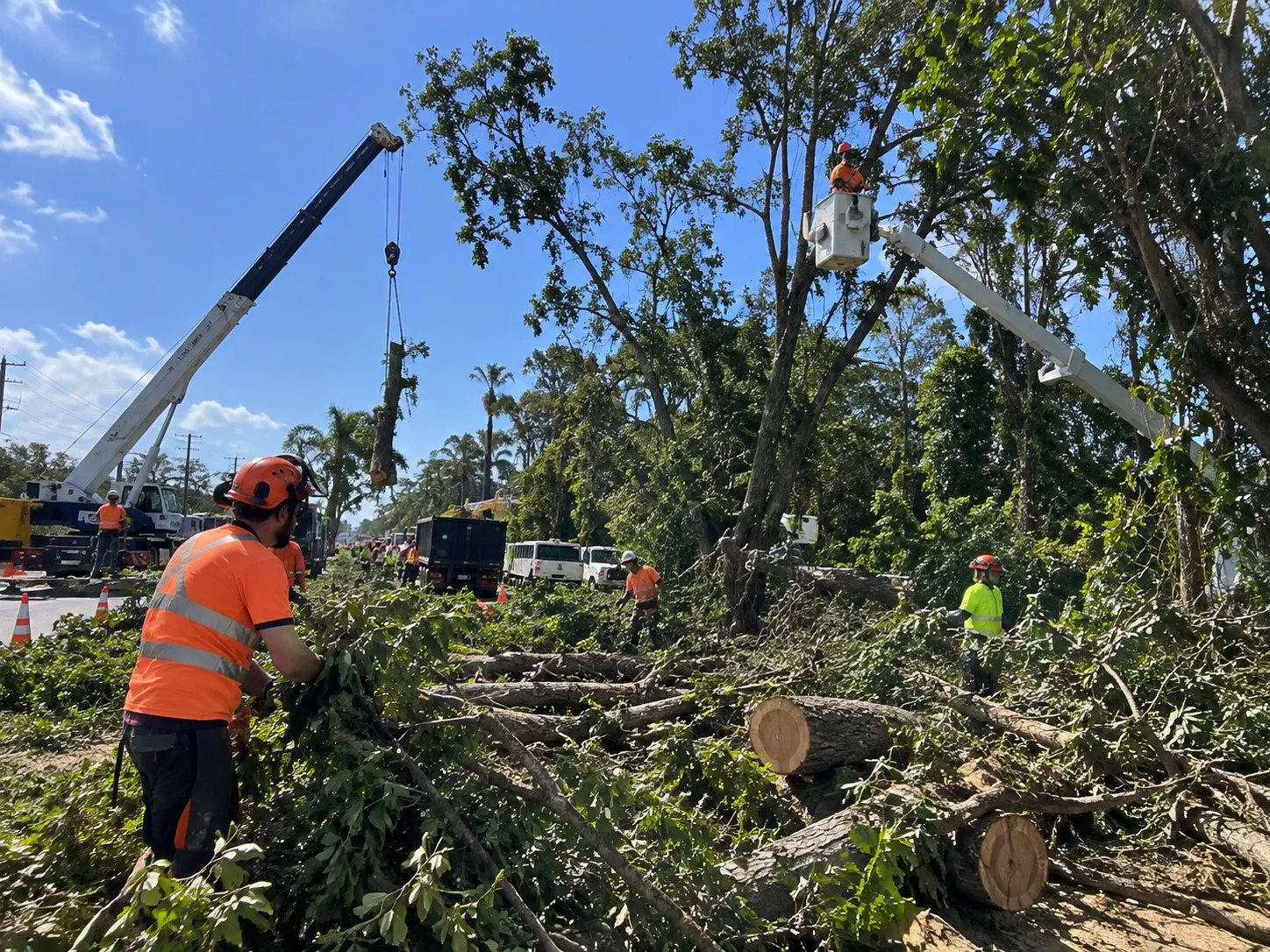 Storm Damage Cleanup in Wellington