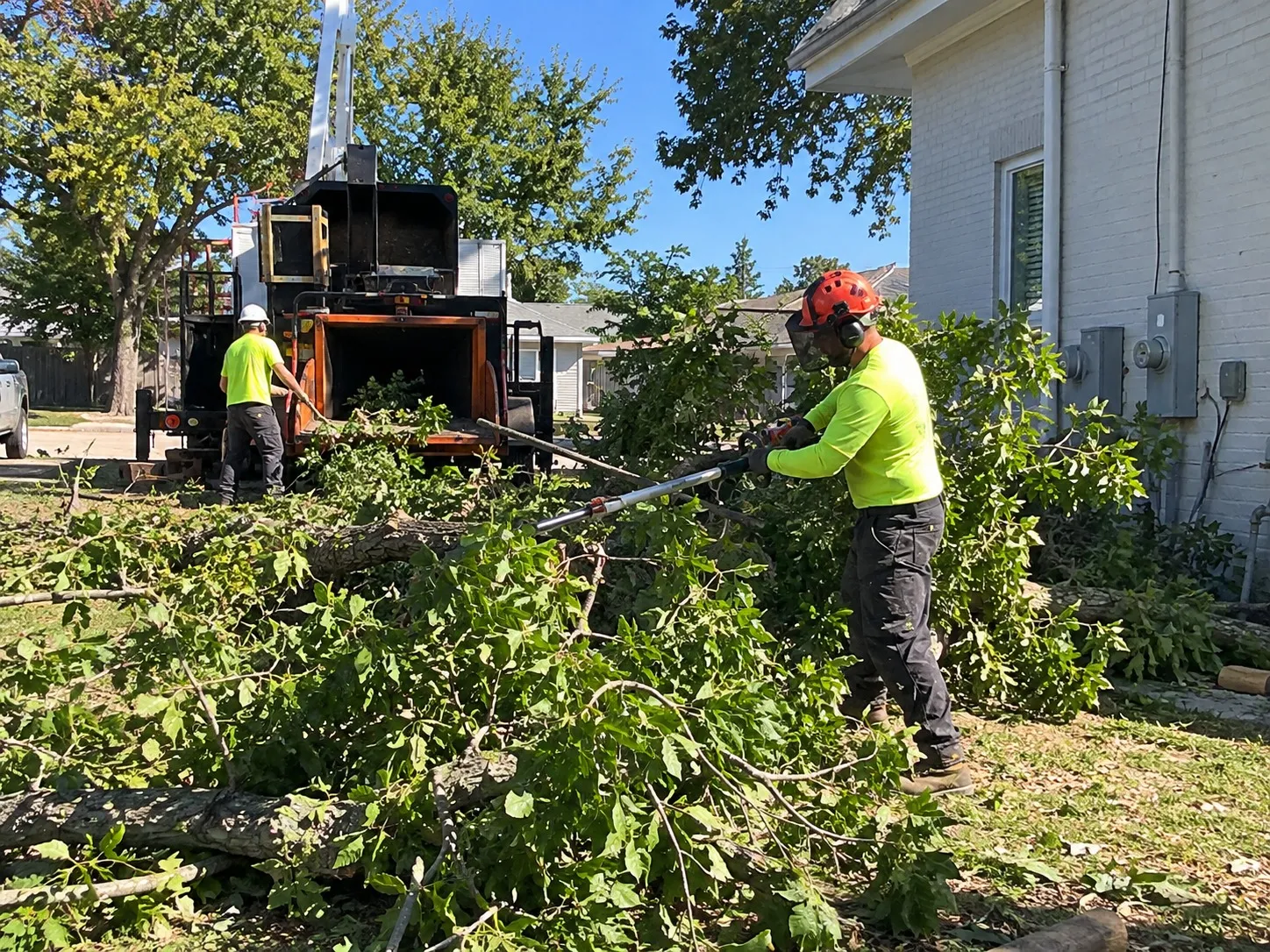Weed and Vegetation Control in Wellington